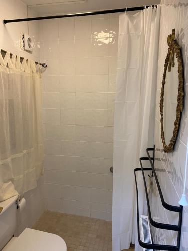 a bathroom with a shower curtain and a toilet at An Teach Tykillen Cosy Home in Limerick