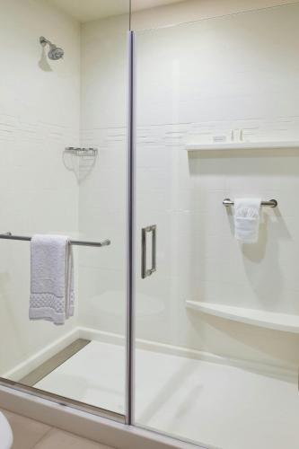 a bathroom with a shower with a glass door at Residence Inn by Marriott Chicago Bolingbrook in Bolingbrook