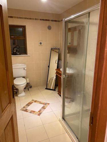 a bathroom with a shower and a toilet at Dromane Lodge self-catering apartment eircode V94HR5C in Limerick