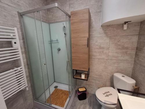 a bathroom with a shower and a toilet at Appartement lumineux 2 ch, proche plage & commerces - FR-1-706-31 in Châtelaillon-Plage
