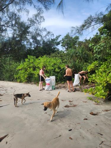 宿泊客と一緒にThe Last Point Koh Takievに滞在中のペット
