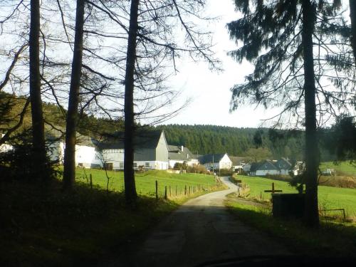 Gallery image of Waldhotel Einstein in Kirchhundem