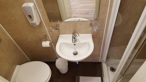 a bathroom with a sink and a toilet and a mirror at Dolphin Inn - The Lodge in London