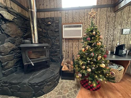 Galeriebild der Unterkunft The Cabin in Packwood in Packwood