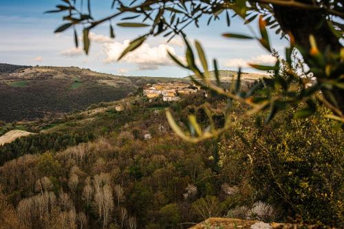 a view of a village on a hill with trees at Villa Ermelinda - Matrimoni, piscina e jacuzzi in Castelraimondo
