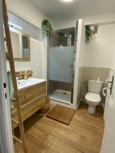 une salle de bain avec une douche, des toilettes et un lavabo dans l'établissement Le studio Bohème, à Dinard