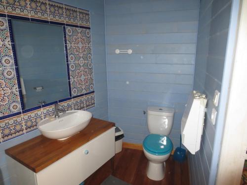 a bathroom with a sink and a toilet at Gite Les Arrebourits 4 étoiles in Anères
