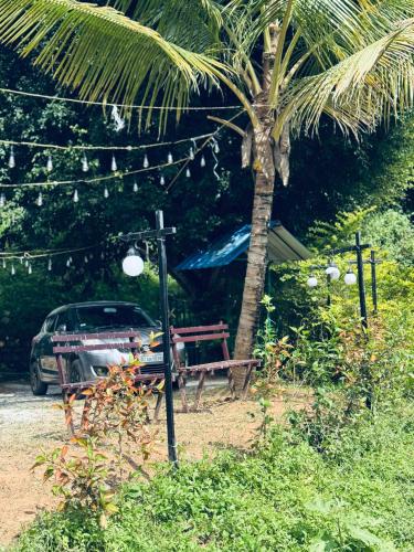a car parked next to a table and a palm tree at House Of Munnar in Anachal