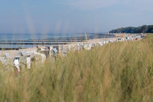 a beach with a bunch of chairs on it at meergut HOTELS in Kühlungsborn