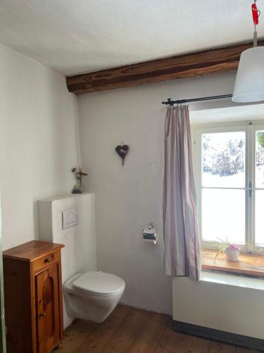 a bathroom with a toilet and a window at Mountain Resort in Rangersdorf