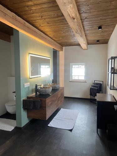a bathroom with a sink and a toilet at Mountain Resort in Rangersdorf