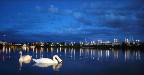 Vista de un río cerca de este apartamento