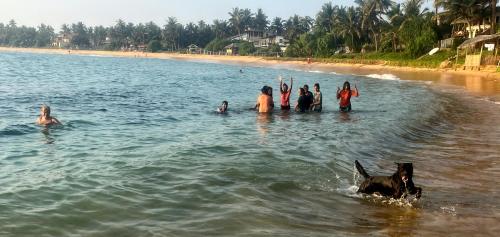 Landskap semula jadi dekat dengan rumah percutian