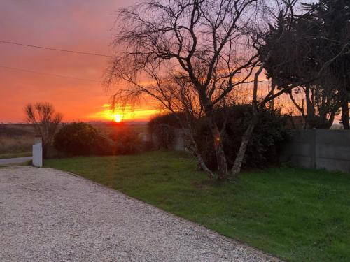 a sunset over a yard with a tree and a gravel road at Cocon des marais in Bourgneuf-en-Retz