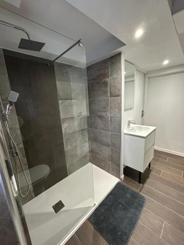 une salle de bain avec douche et lavabo dans l'établissement T2 cosy - jardin des plantes, à Montauban