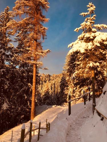 a snow covered forest with trees and a fence at Chalet Tschattlhof Dolomites in Ponte Nova