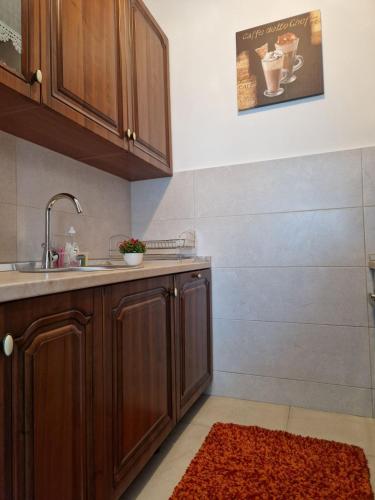 a kitchen with wooden cabinets and a sink and a rug at Stan na dan 34 in Banja Luka