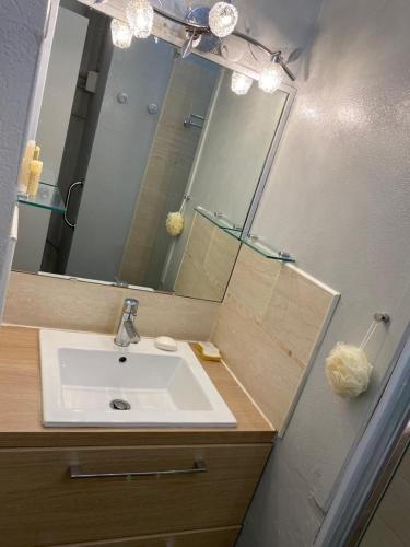 une salle de bain avec un lavabo et un miroir dans l'établissement Appartement à Saint-Cyprien Plage, à Saint Cyprien Plage