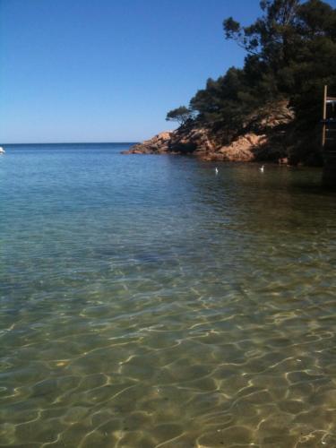 TOUT A PIED ! 150m PLAGE DU LAVANDOU T3 PISCINE
