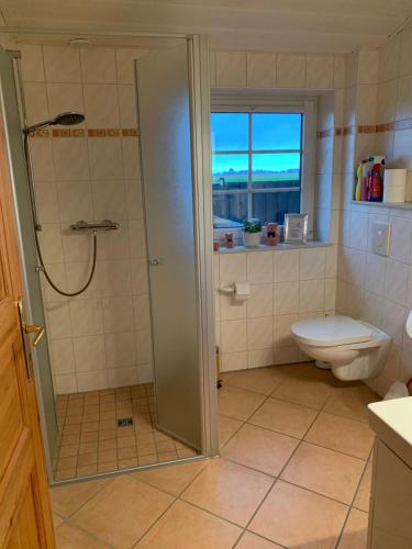 a bathroom with a shower and a toilet at Ferienwohnung auf dem Land 2 in Wangerland