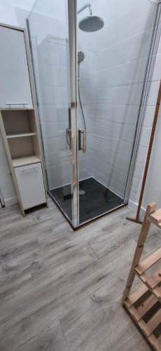 une salle de bain avec une douche avec une porte vitrée dans l'établissement Appart Cosy à la Campagne, à Labarthète