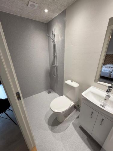 a bathroom with a toilet and a sink at Folsted - Værelse 102 med eget badeværelse og fri parkering in Bindslev