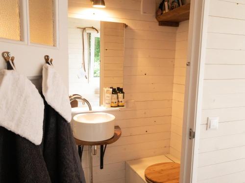 a bathroom with a sink in a tiny house at Shepherd's Hut a tiny ecohouse near Dwingelderveld in Ruinen