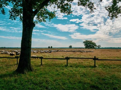 a tree in a field with a herd of sheep at Shepherd's Hut a tiny ecohouse near Dwingelderveld in Ruinen