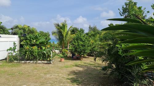 Un jardín con árboles y plantas en un campo. en Le Domharry, en Anse-Bertrand