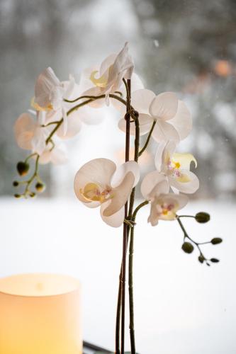 a bunch of white flowers in a vase at Villa Bessberget in Edsbyn
