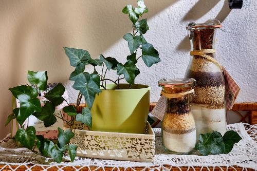 Nápoje v ubytování Ferienhaus zur Maultrommel