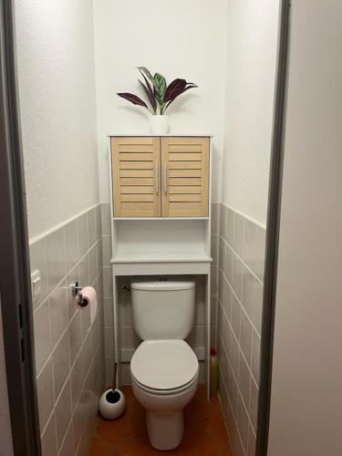 une salle de bain avec des toilettes avec une étagère au-dessus dans l'établissement Appartement Les chalets de Puy-St-Vincent 1700, à Puy-Saint-Vincent