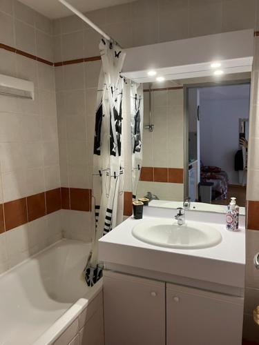 une salle de bain avec un lavabo, une baignoire et un miroir dans l'établissement Appartement Les chalets de Puy-St-Vincent 1700, à Puy-Saint-Vincent