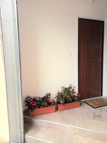 three potted plants sitting on the floor next to a door at Casa delle begonie in Rome
