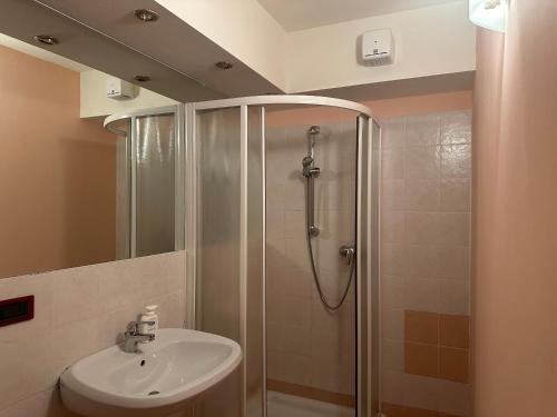 um banheiro com chuveiro e pia em Casa del Cirmolo - apartments for rent em Cavalese