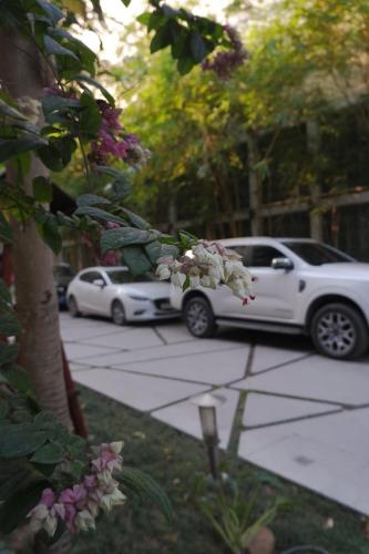 a white car parked on the side of a street at Tuong Vi Hotel in Hai Phong