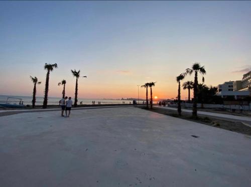 Ambra 'Next to the Sea'