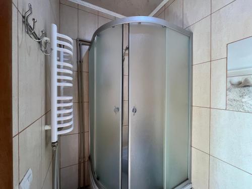 una ducha con puerta de cristal en un baño en Котедж Краєвид, en Yablunytsya