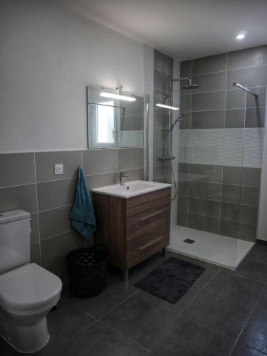 une salle de bain avec un lavabo, une douche et des toilettes dans l'établissement La maison Grignan, à Bergerac