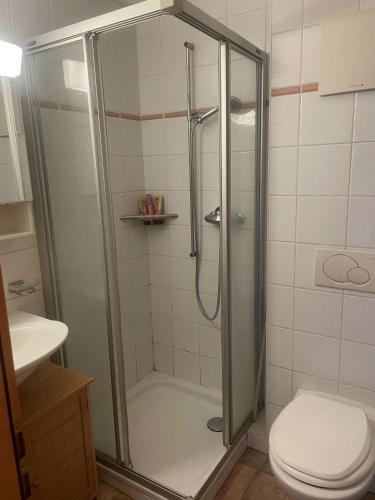ein Badezimmer mit Dusche und Toilette in der Unterkunft Apparemment in Verbier