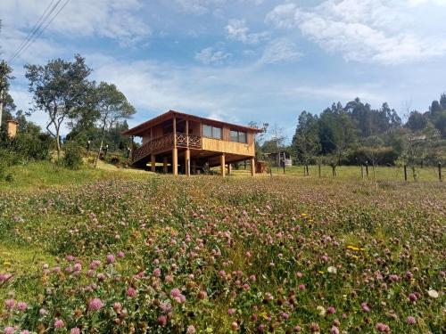 Taman di luar Cabaña Colibri
