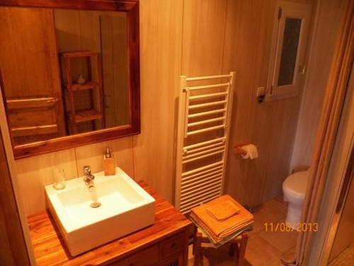 une salle de bain avec un lavabo et un miroir et des toilettes dans l'établissement la vallee du cher, à Monthou-sur-Cher