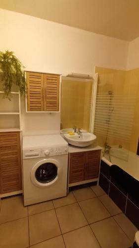 une salle de bain avec une machine à laver et un lavabo dans l'établissement Résidence DOMAINE DE LA VALEE D'AX, à Ax-les-Thermes