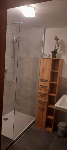 a bathroom with a shower and a sink at Ferienhaus Vils in Vils