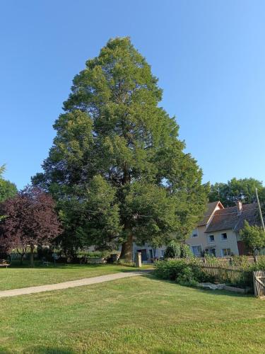 Gîte du Tilleul