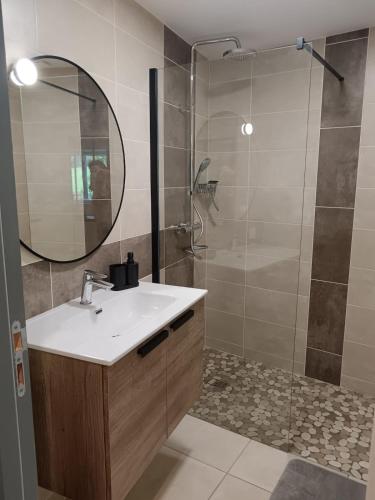 une salle de bain avec un lavabo et une douche avec un miroir dans l'établissement Gîte du Tilleul, à Gap