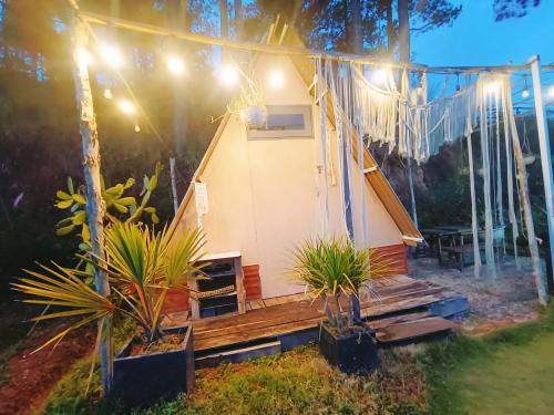 a yurt in a yard with plants and lights at Amikaje Farm in Xuan An