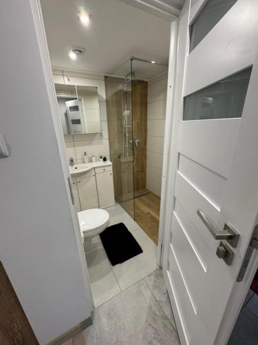 a bathroom with a toilet and a glass shower door at Domek na Kępce in Szczyrk