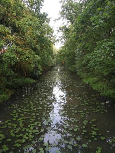 a river with lily pads on the water at Xanadi Heilehaus kleine Auszeit Kururlaub in Bruchhausen-Vilsen