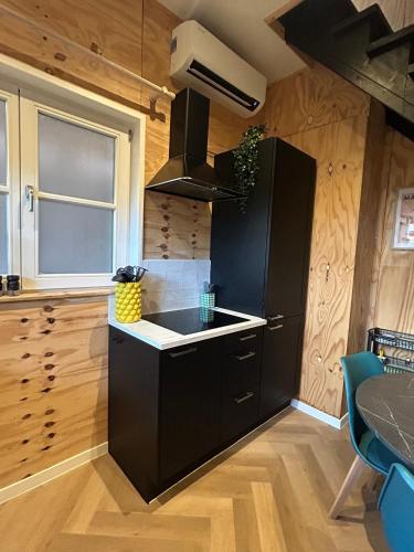 Η κουζίνα ή μικρή κουζίνα στο Tiny House Thuus